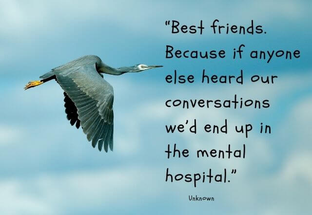 Friendship Day Quotes