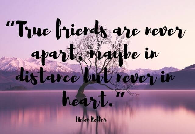 Friendship Quotes